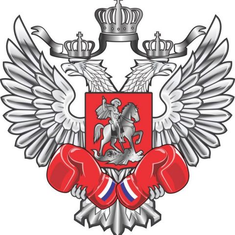 Мужская сборная России по боксу заняла первое командное место на Всемирных военных играх