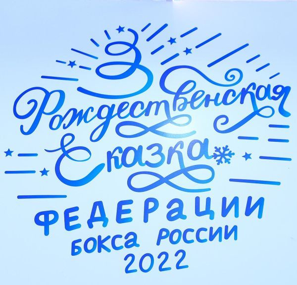 Более 247 тысяч человек посетили Рождественские ёлки Федерации бокса России в Серпухове