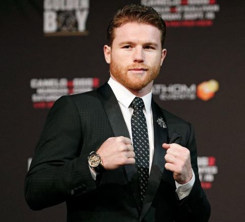 АЛЬВАРЕС-ПЛАНТ: ПОЧЕМУ АЛЬВАРЕС НЕ ПОДЕРЕТСЯ С БЕТЕРБИЕВЫМ