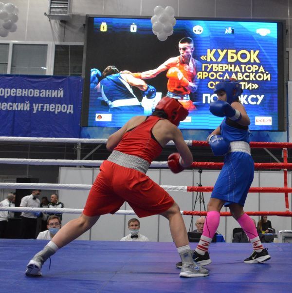 В Ярославле стартовал "Кубок Губернатора" по боксу