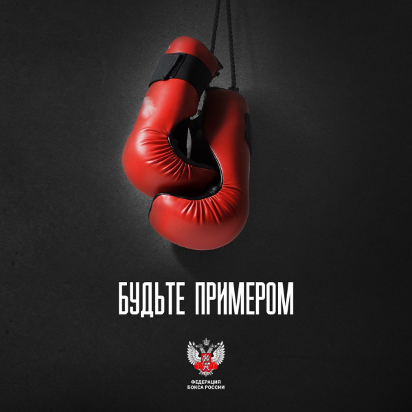 Федерация бокса России запускает дистанционное обучение по боксу