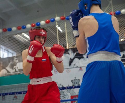 Итоги первенства Сибирского федерального округа по боксу среди юношей 15-16 лет