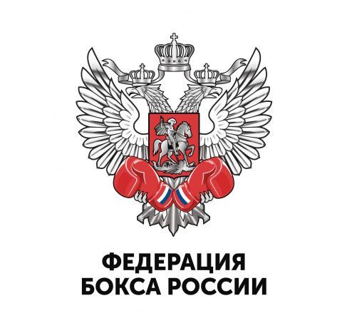 В Федерации бокса России прошёл тренерский совет