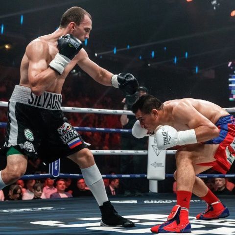 Силягин, Курбанов и Тищенко одержали очередные победы на профессиональном ринге