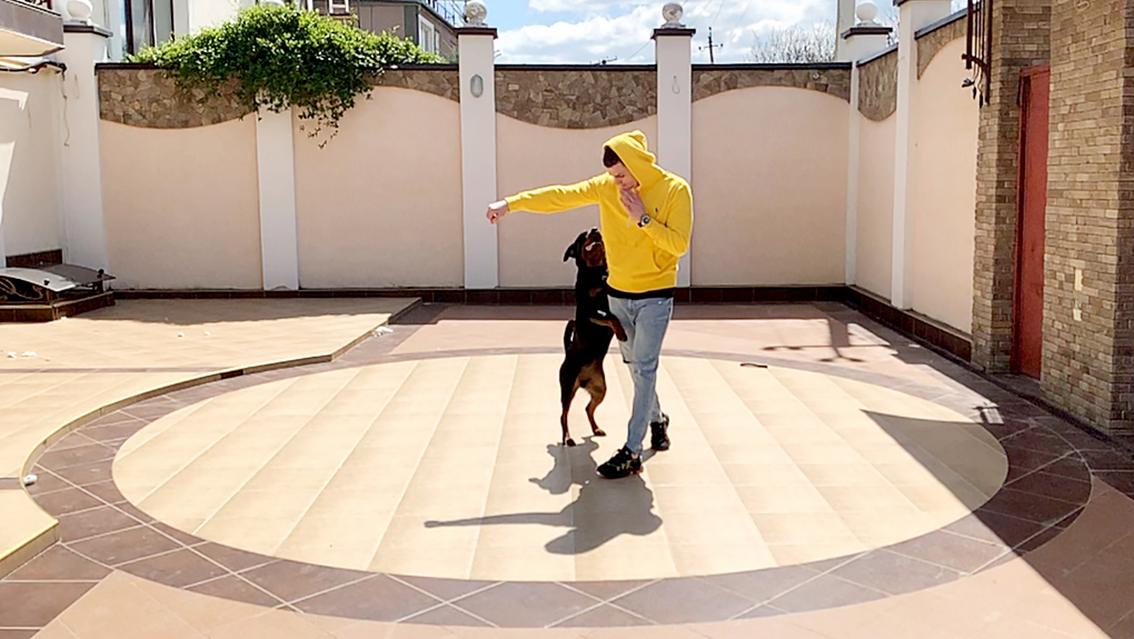 3_IMG_8478.JPG 3_IMG_8478.JPG